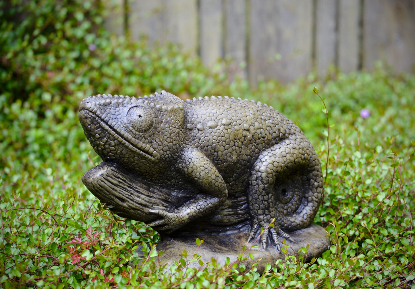 Chameleon