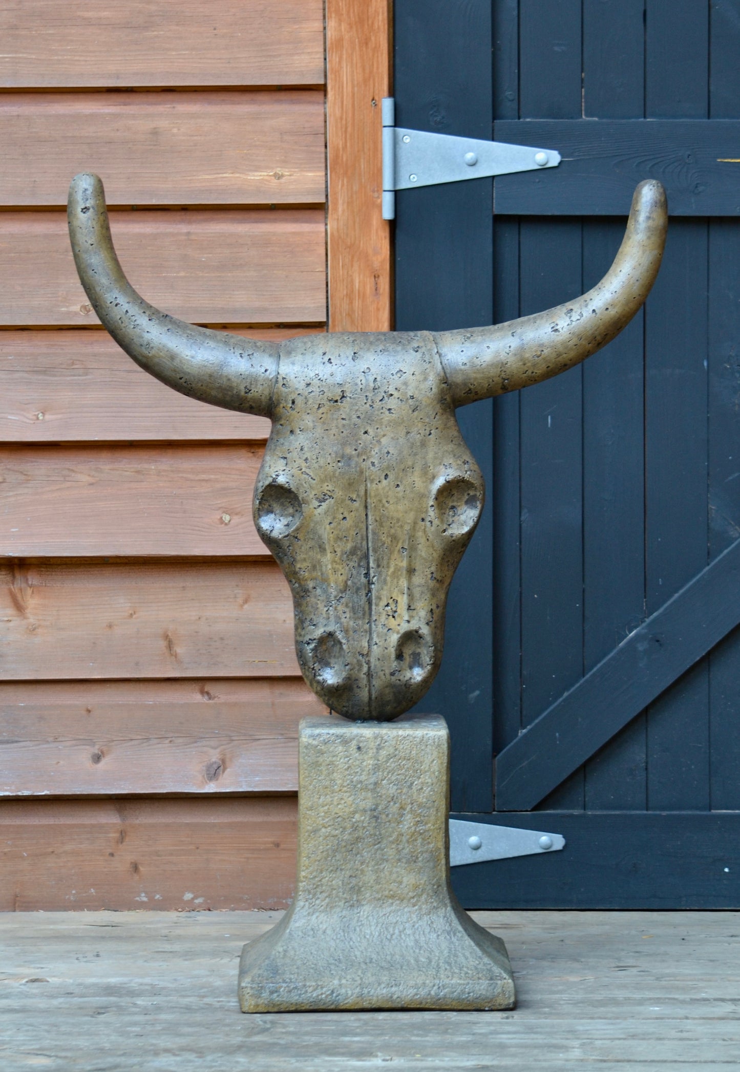 Bull Horns - Small