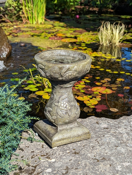 Patio Birdbath - Turtle