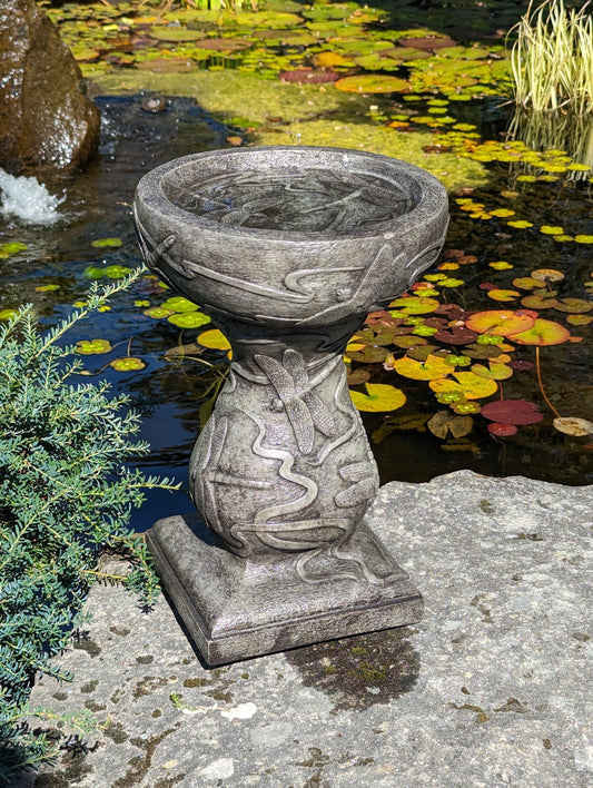 Patio Birdbath - Dragonfly