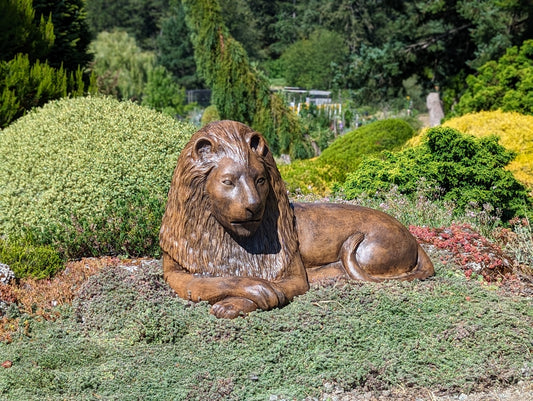 Jeremy The Lion