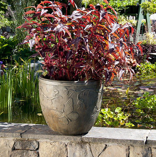 Butterfly Pot in York Stone Finish