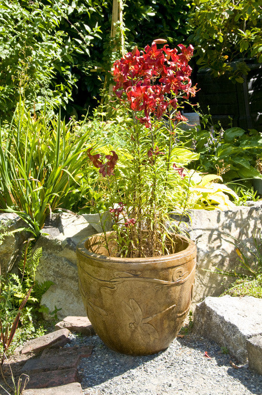 Dragonfly Pot