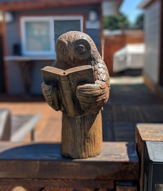 Enlightened Owl - Small