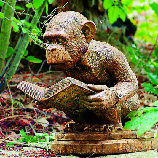 Enlightened Ape