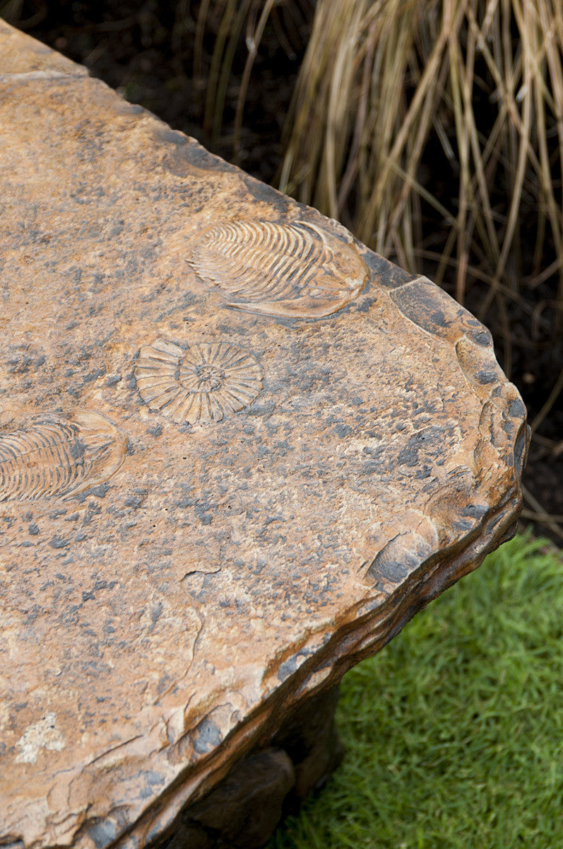 Fossil Bench - Straight in Ancient Stone
