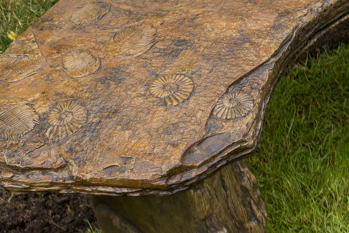 Fossil Bench - Curved in Ancient Stone