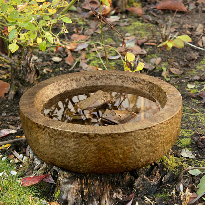 Frog Bowl
