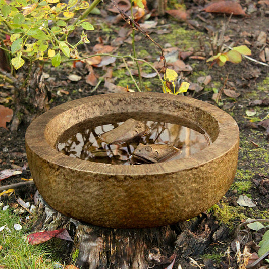 Frog Bowl
