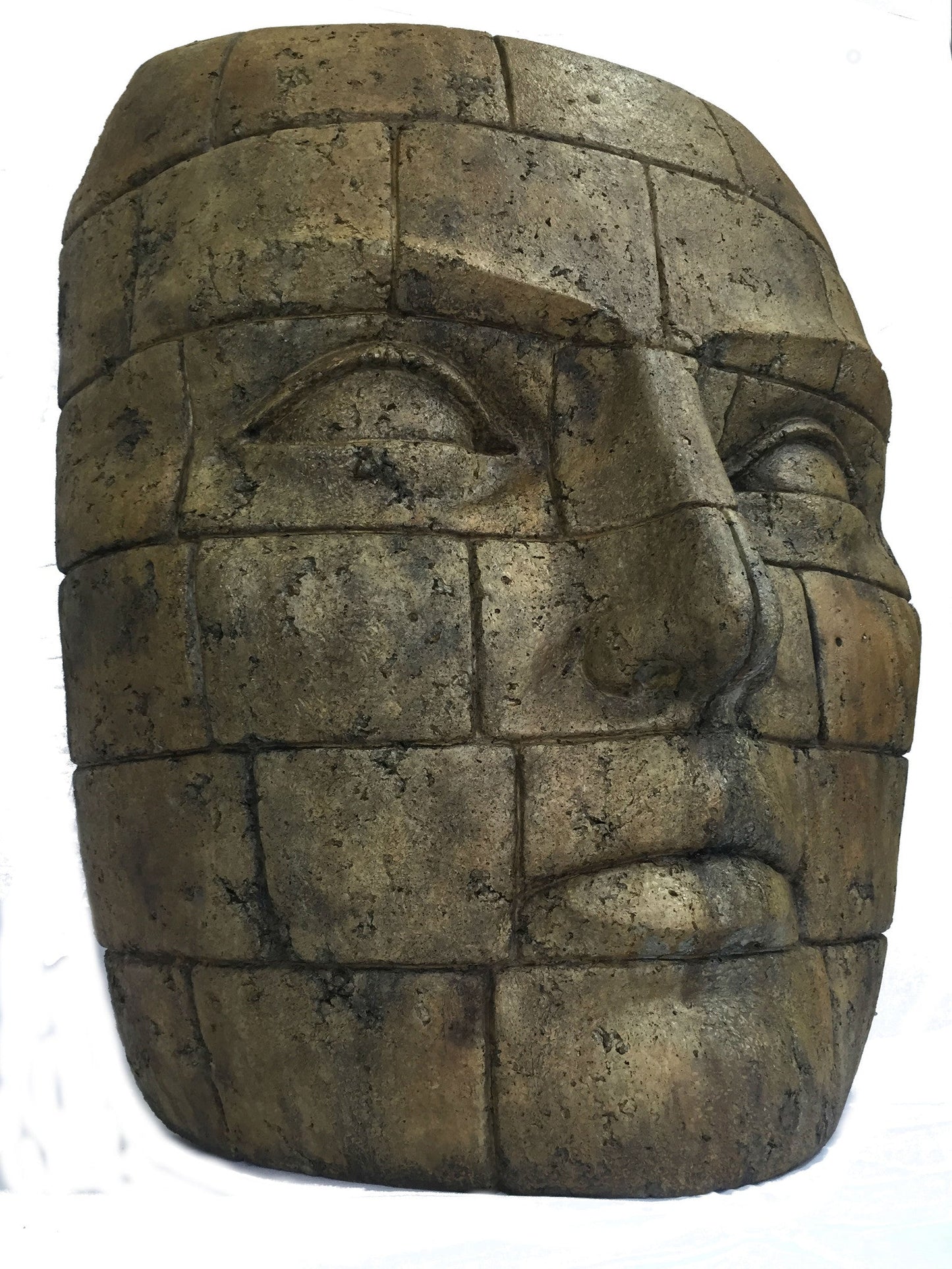 Giant Lapidus in Ancient Stone