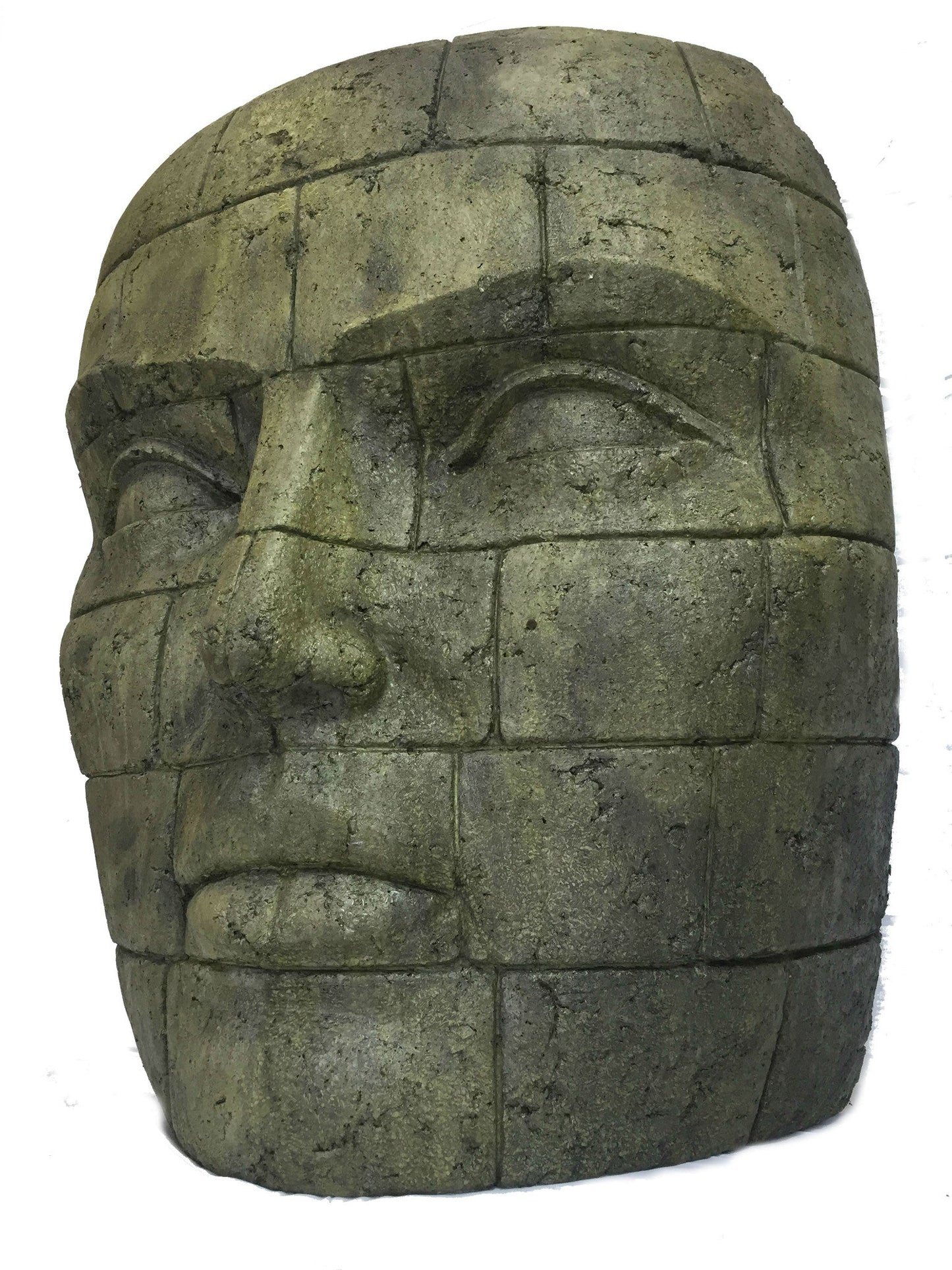 Giant Lapidus in York Stone