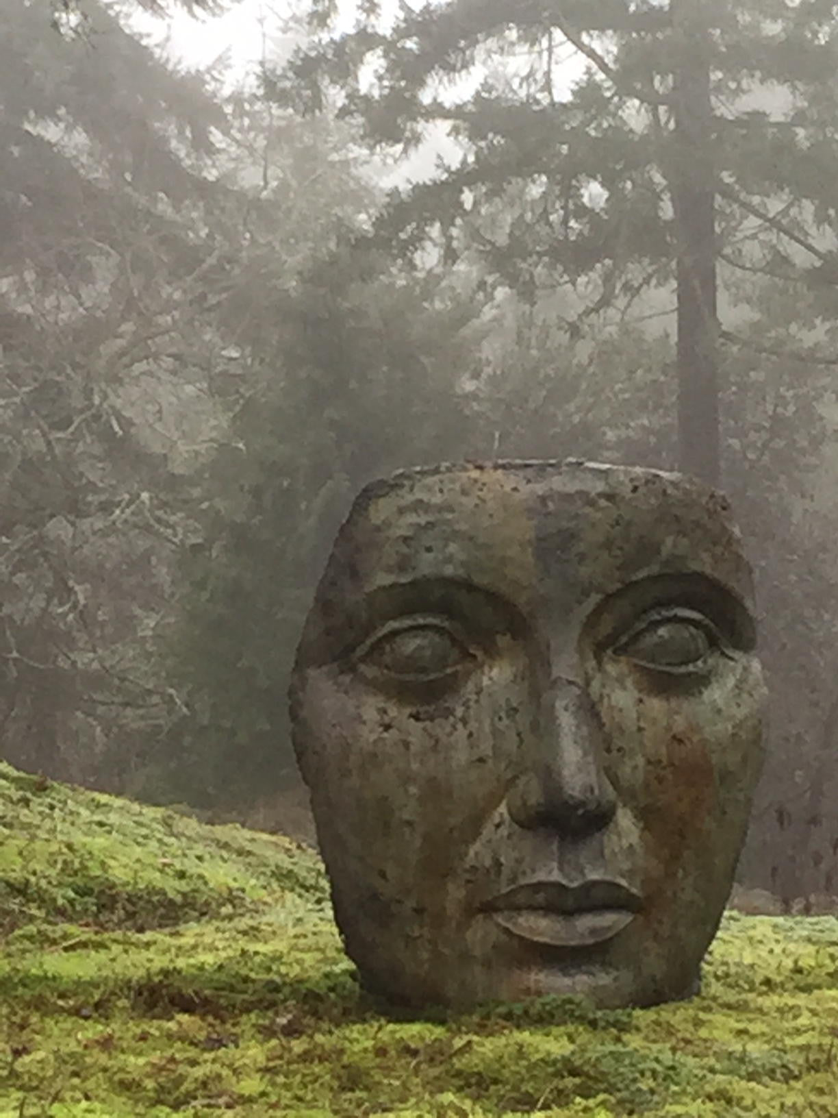 Giant Portrait of Mother Nature