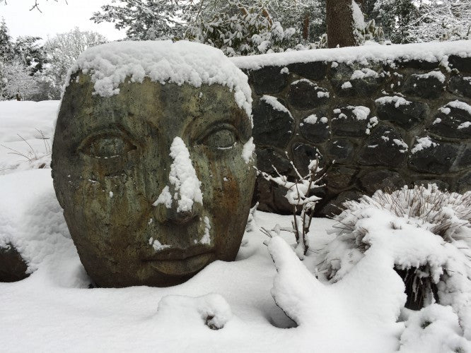 Giant Portrait of Mother Nature