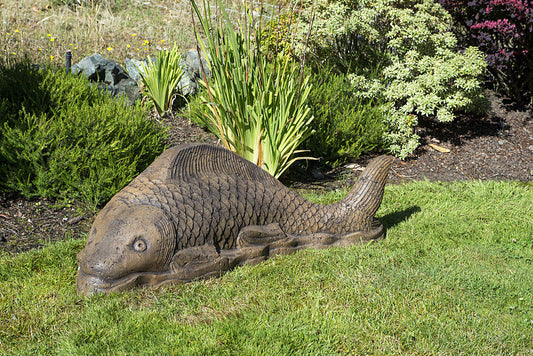 Giant Swimming Koi in Ancient Stone