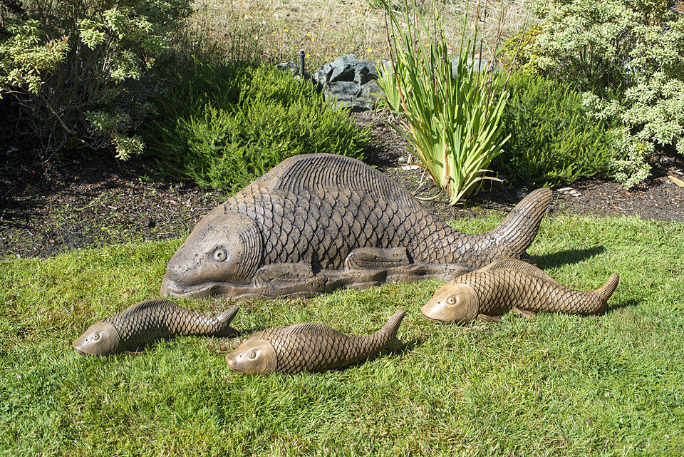 Giant Swimming Koi in Ancient Stone shown with other Swimming Koi