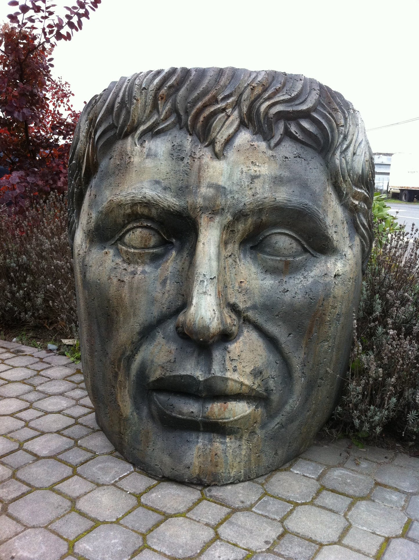 Giant Young Emperor in Western Slate Finish