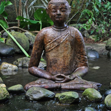Photo courtesy of http://peace-n-kindness.tumblr.com/post/43044481675