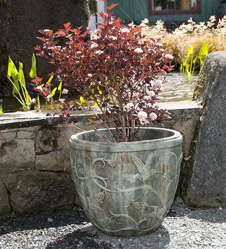 Hummingbird Pot in Western Slate Finish