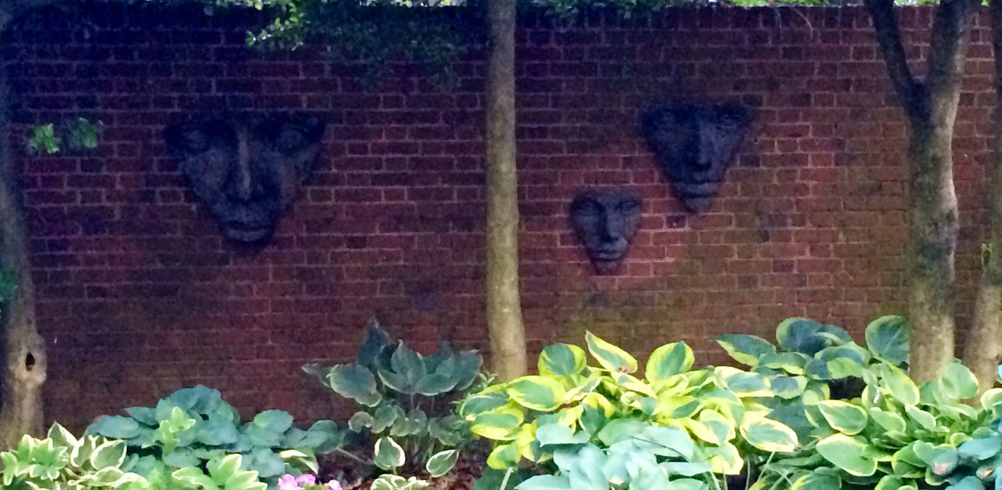 Hanging Portraits of Mother Nature