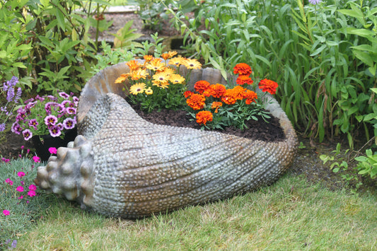 Conch Planter