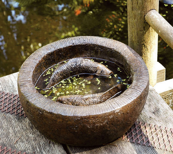 Koi Bowl