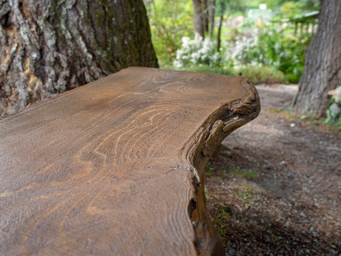 Live Edge Bench - Driftwood Bases