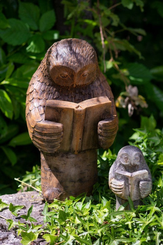 Enlightened Owl - Large