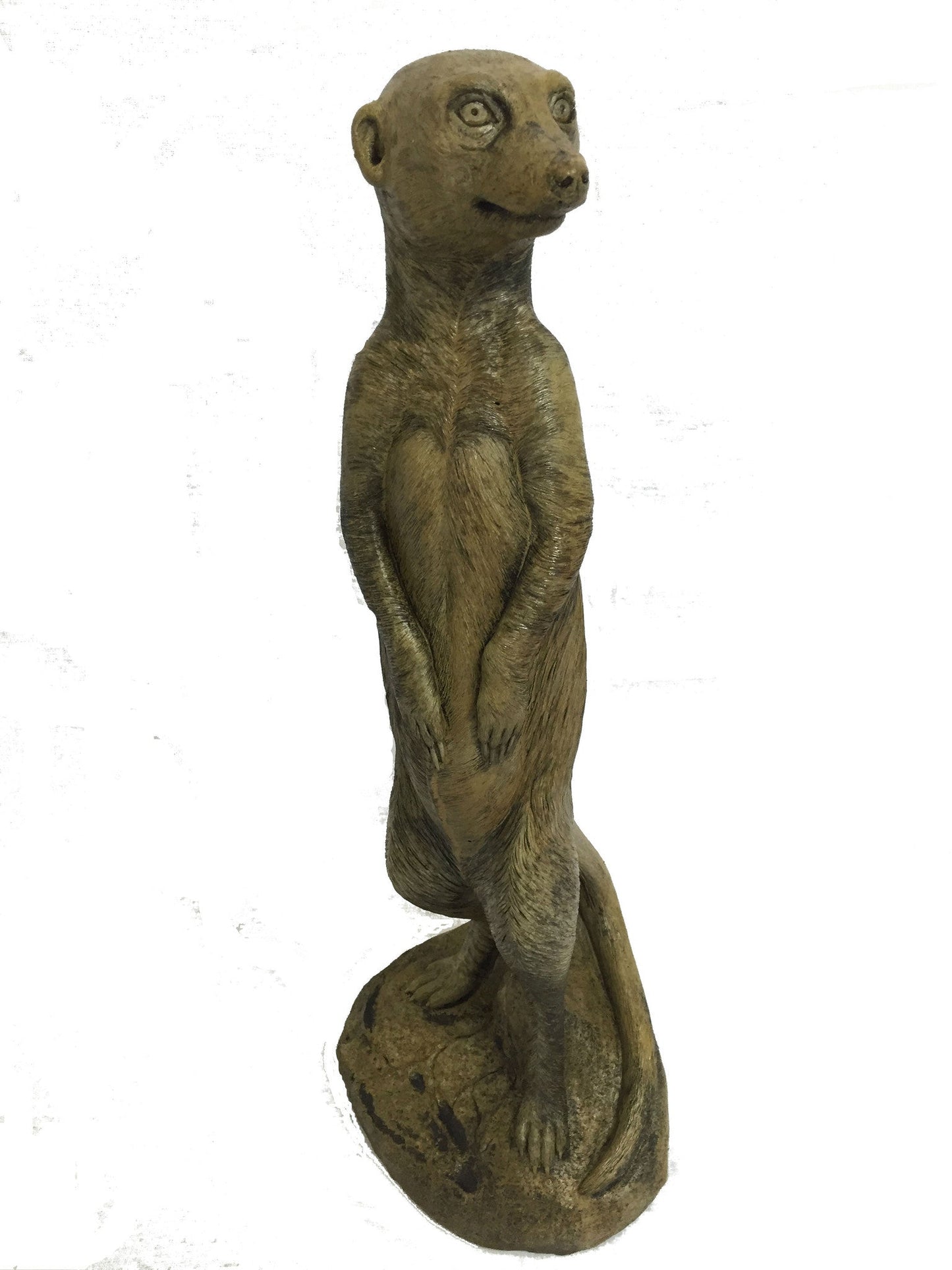 Meerkat in Ancient Stone