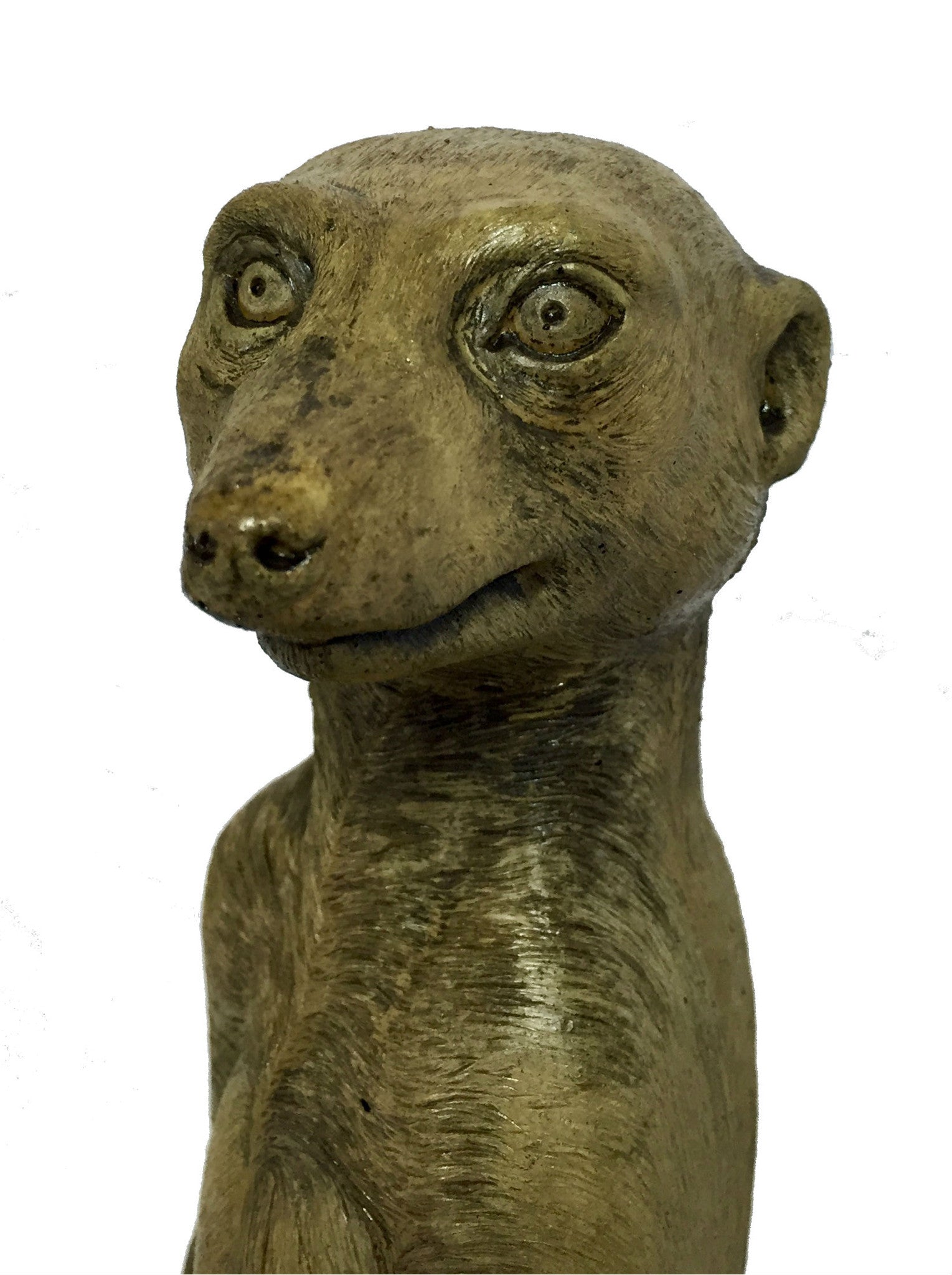 Meerkat in Ancient Stone