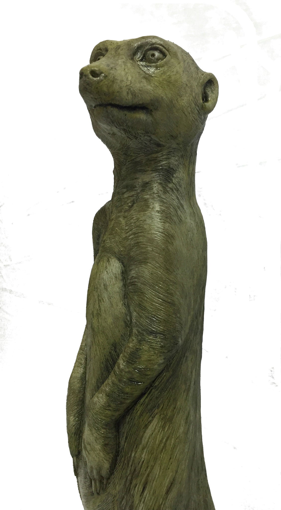 Meerkat in York Stone