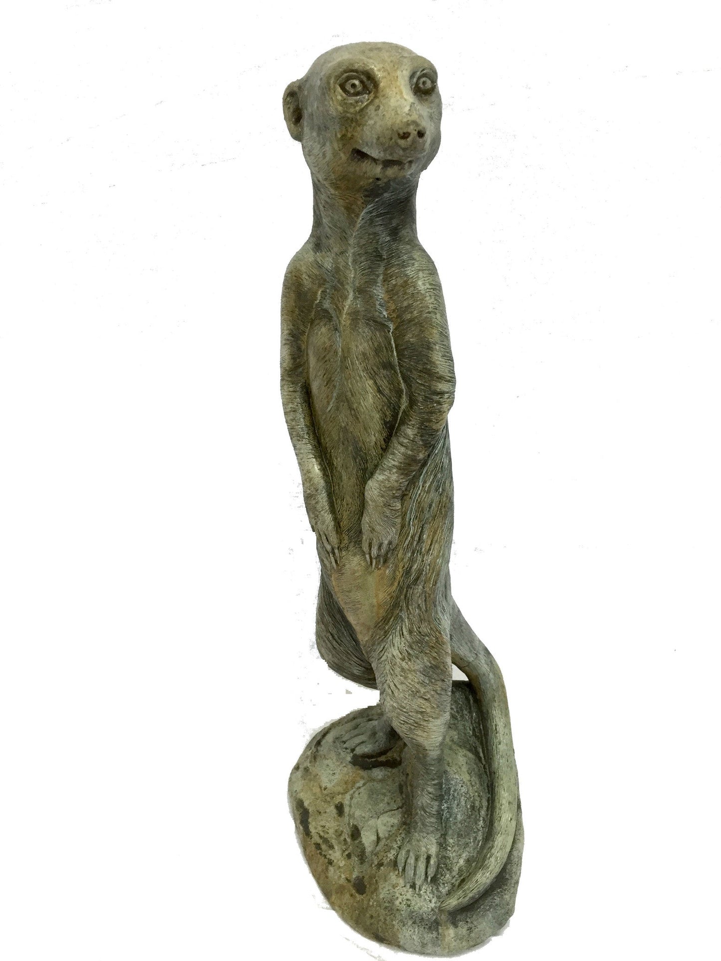 Meerkat in Western Slate