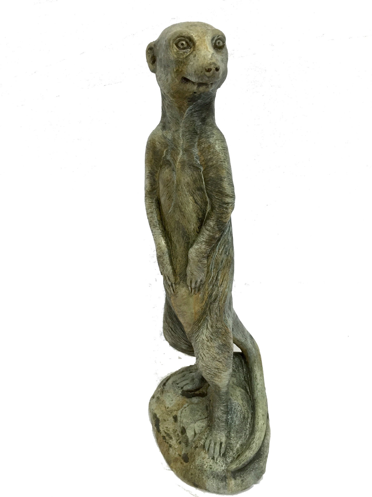 Meerkat in Western Slate