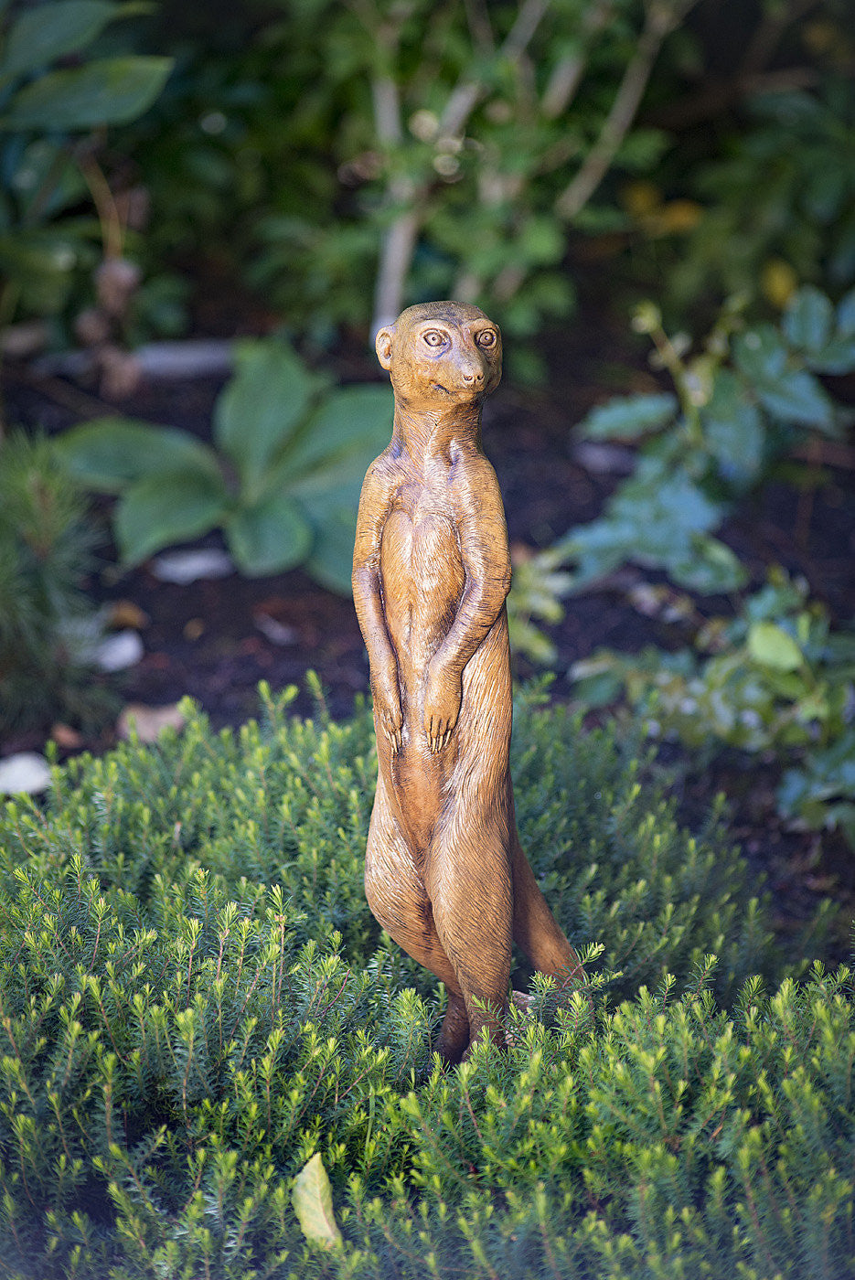 Meerkat in Ancient Stone