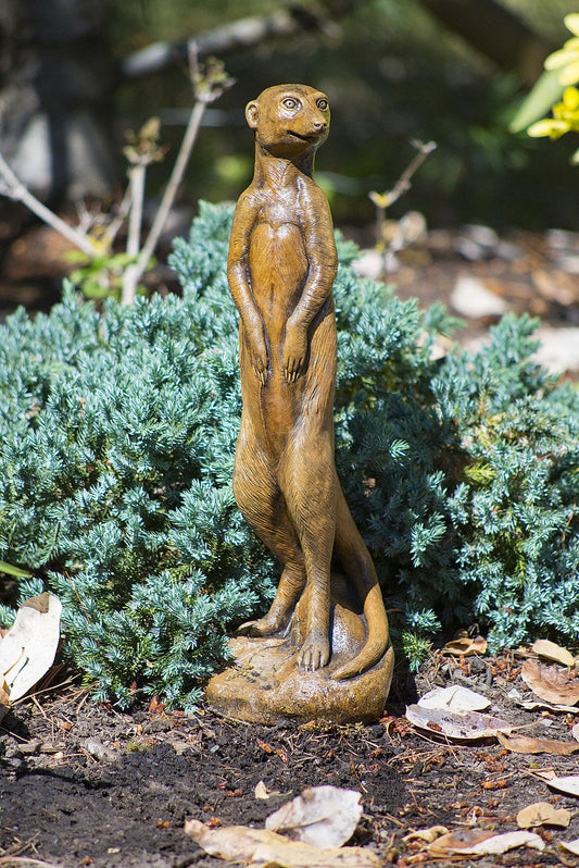 Meerkat in Ancient Stone
