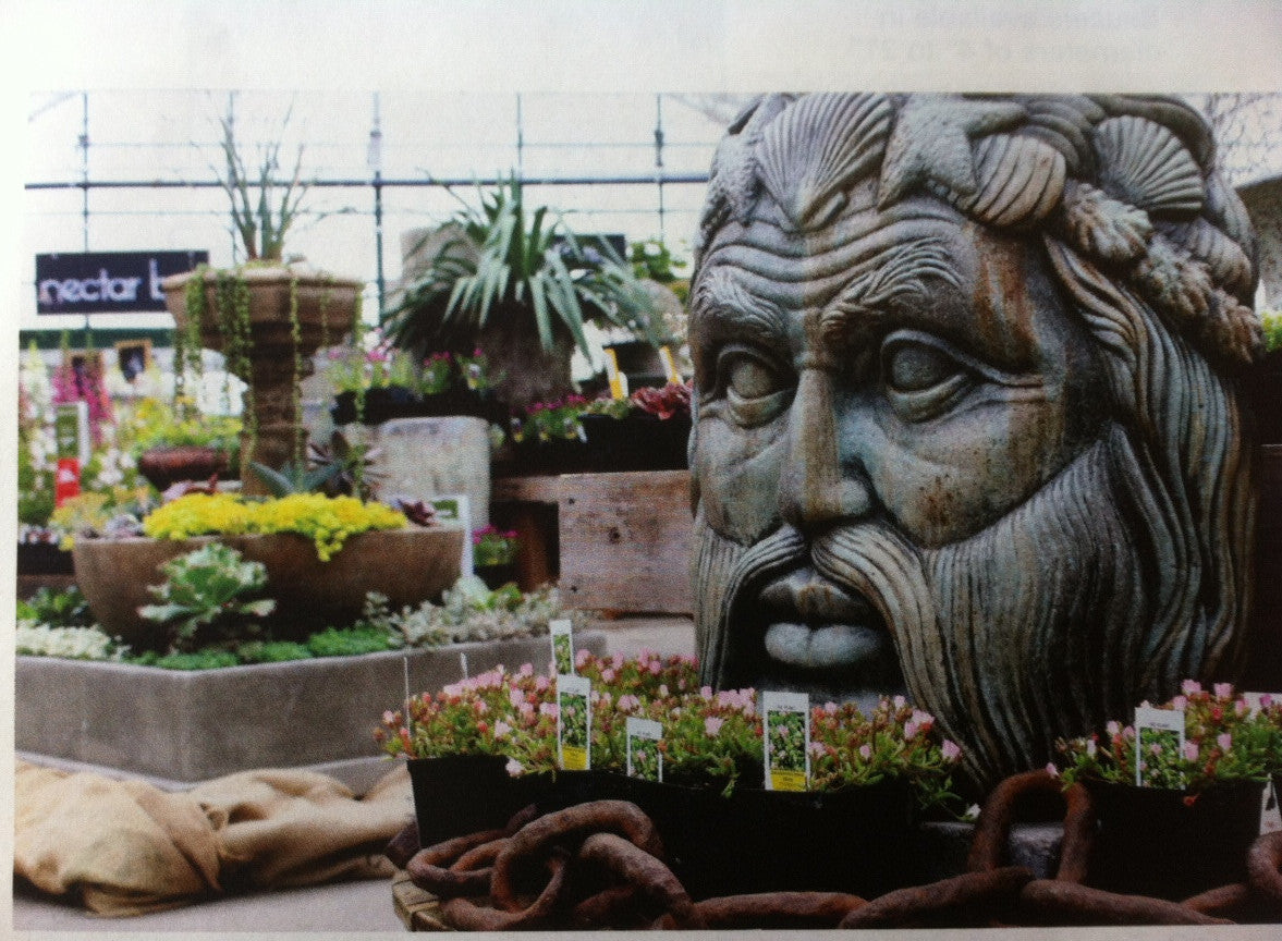 Neptune Face in Western Slate Finish