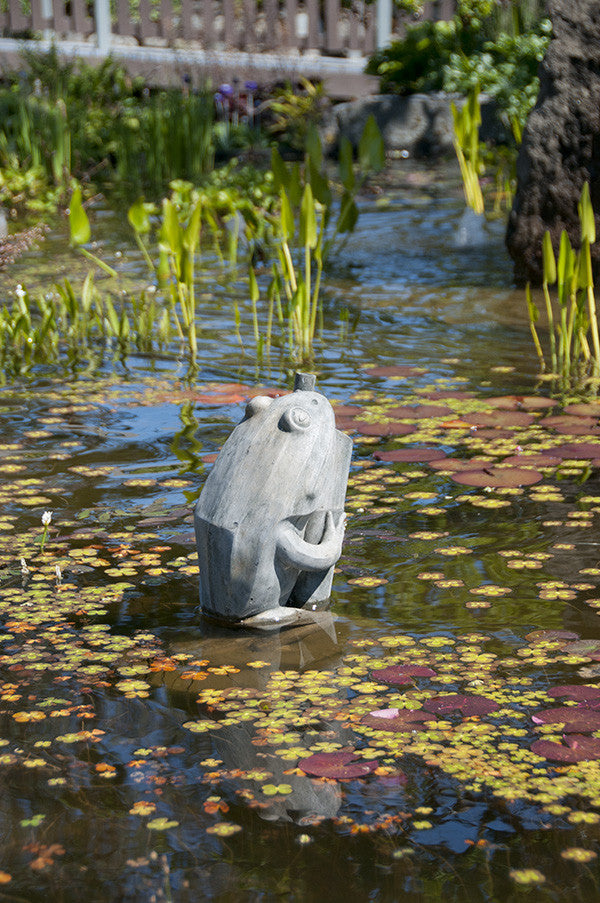 Peter Frog in Western Slate Finish