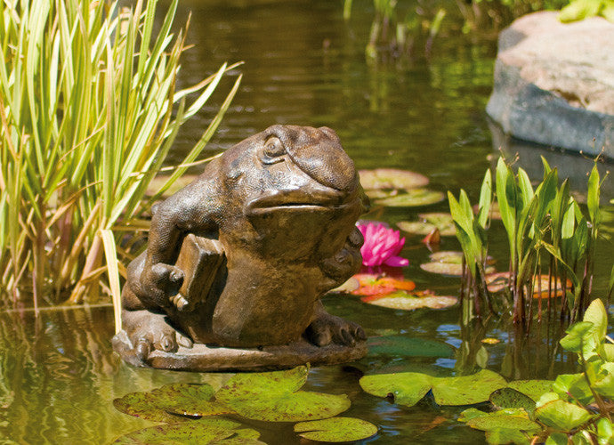 Professor Frog