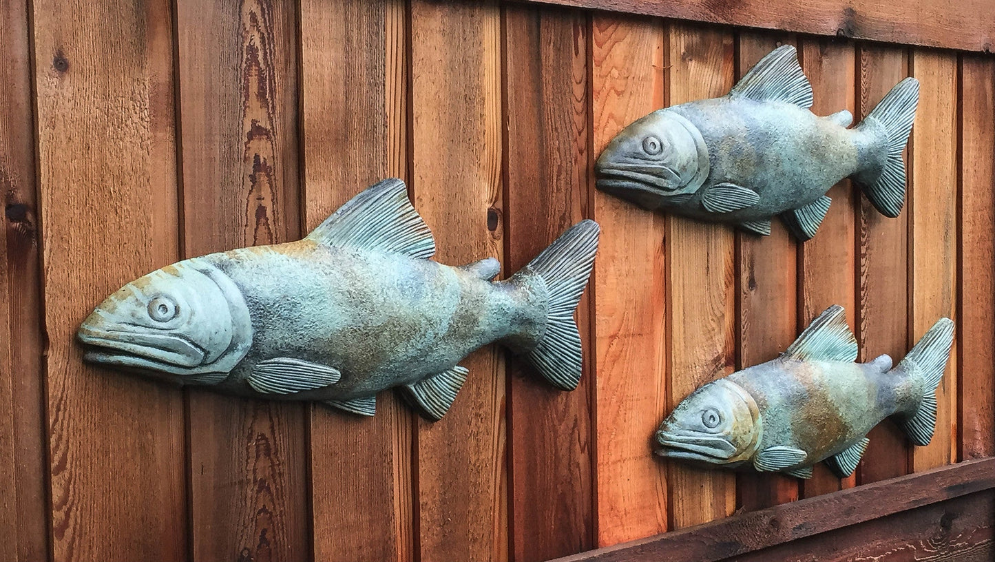 School of Fish in Western Slate
