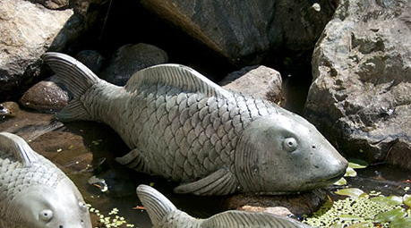 Swimming Koi - Large in Western Slate Finish