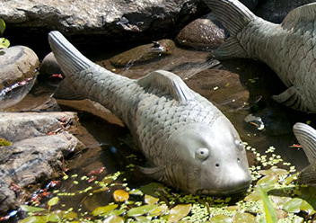 Swimming Koi - Medium in Western Slate Finish
