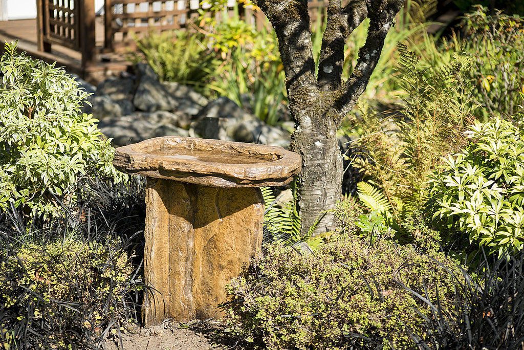 Slate Birdbath in Ancient Stone