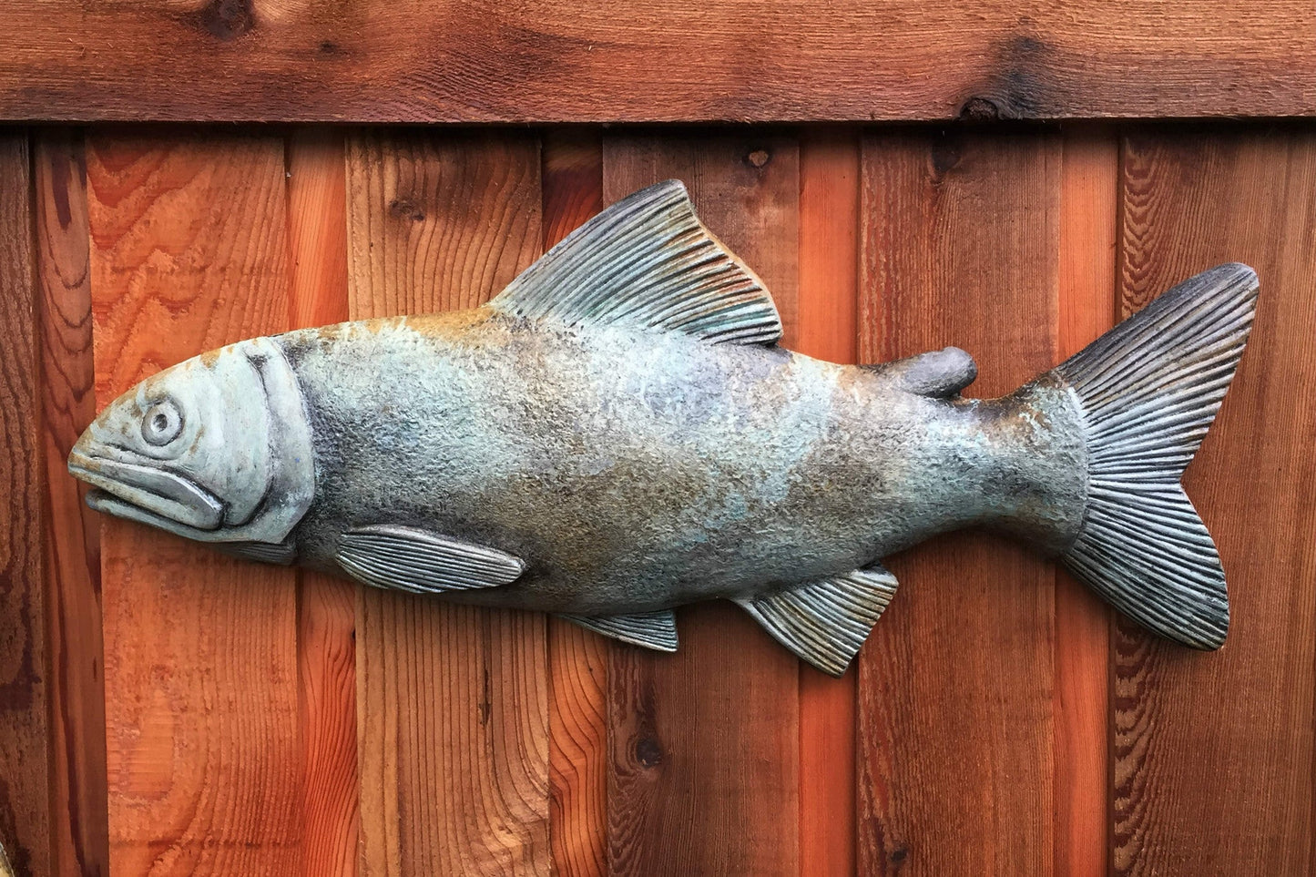 Student Fish in Western Slate