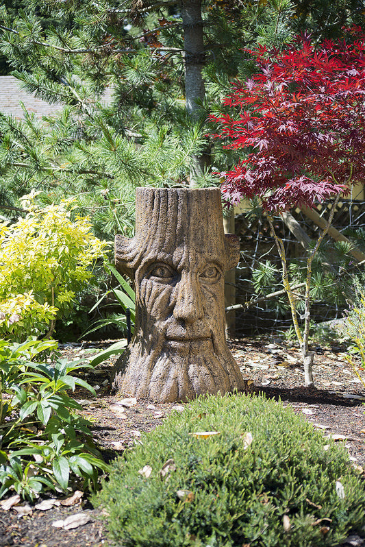 Treebor in Ancient Stone