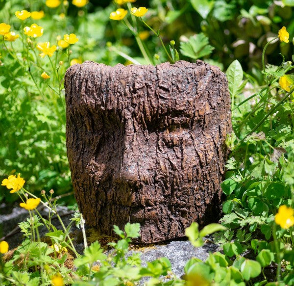 Tabletop Face in Bark