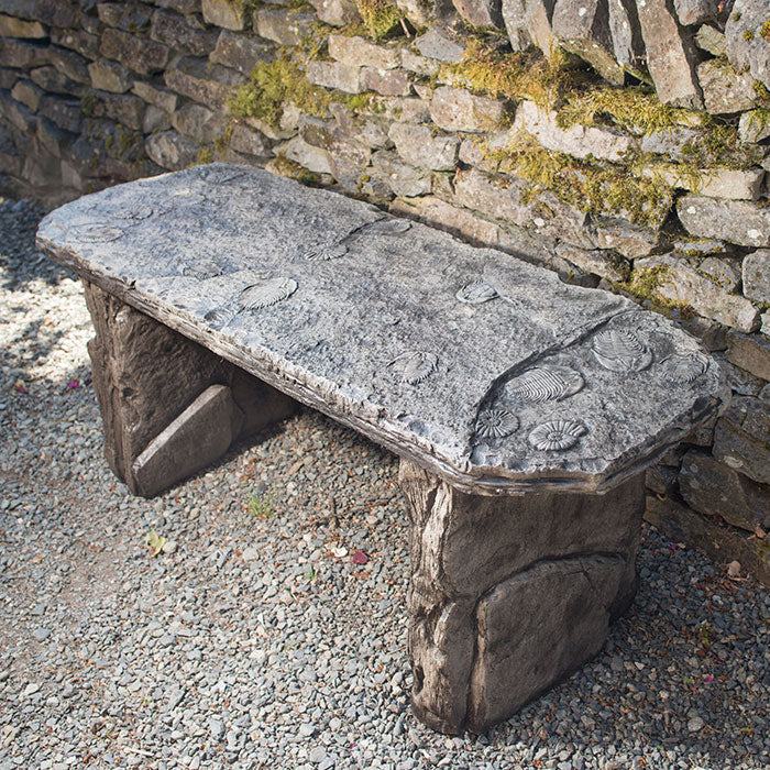 Fossil Bench - Straight
