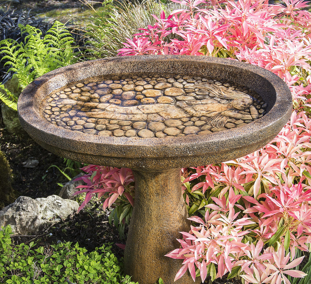 Lady of the Lake Birdbath close-up of the bowl