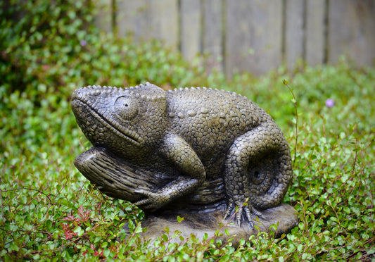 Chameleon
