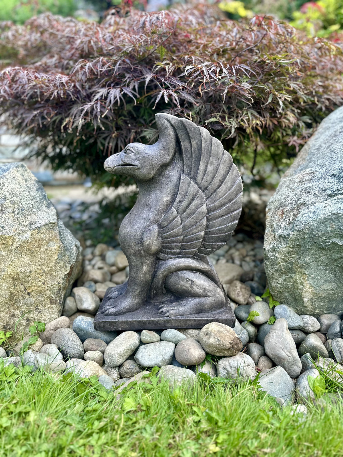 Medium Griffin