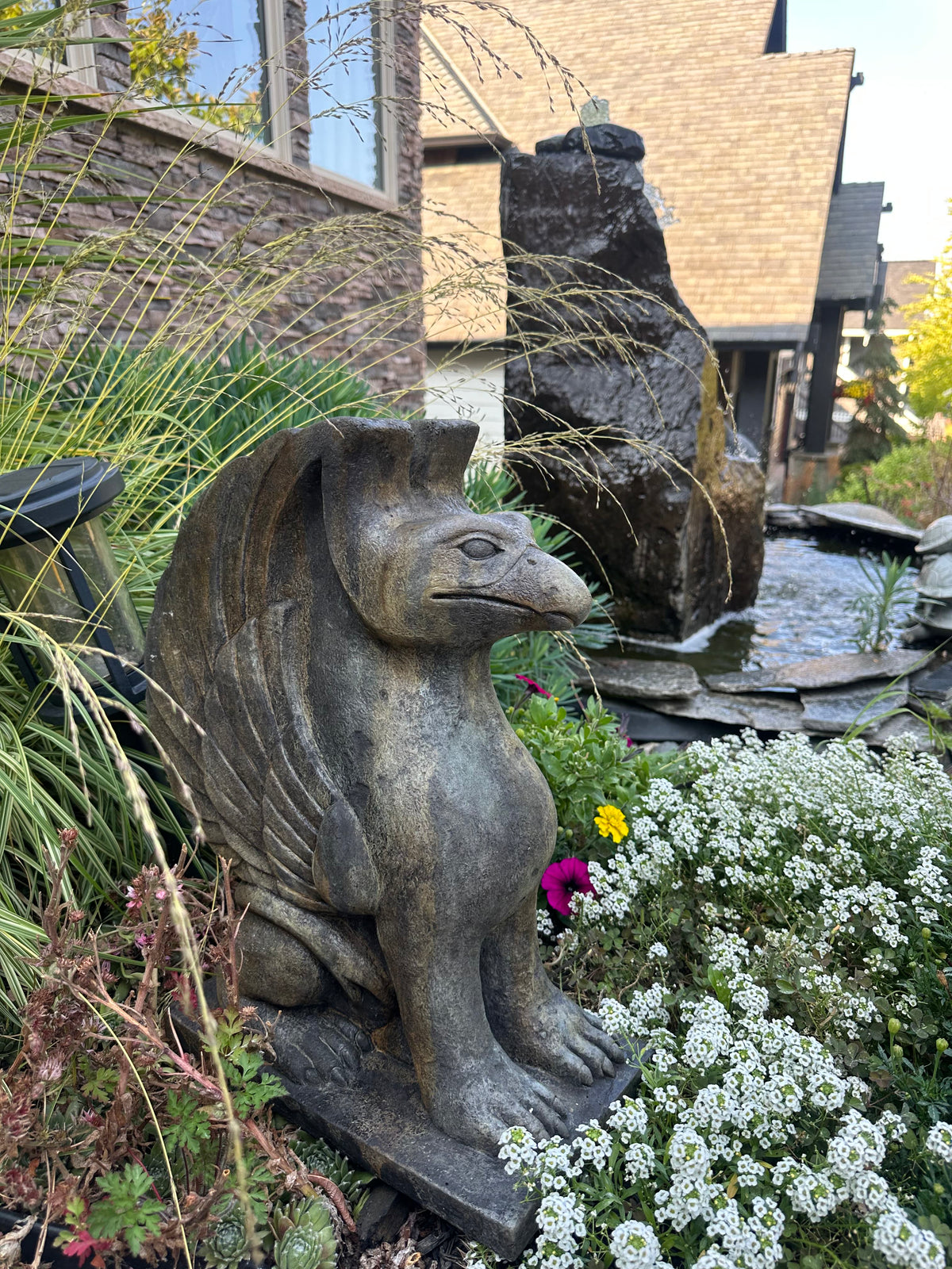 Medium Griffin
