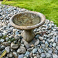 Chinese Dragon Birdbath - Small